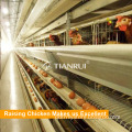 4 Tiers Layer Chicken Poultry Battery Cages for Nigerian Farm